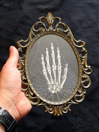 Image 1 of The Hand - Vintage Italian Framed -  Vintage ANATOMICAL COLLECTION - Preserved web  - 4