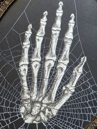 Image 3 of The Hand - Vintage Italian Framed -  Vintage ANATOMICAL COLLECTION - Preserved web  - 4