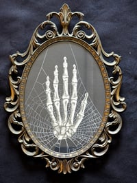 Image 2 of The Hand - Vintage Italian Framed -  Vintage ANATOMICAL COLLECTION - Preserved web  - 4