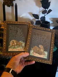 Image 1 of Pair of Lions 1800's engraving plates with preserved spider web - French Antique Frame