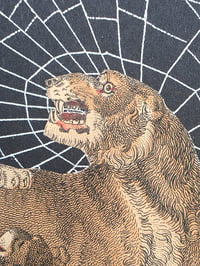 Image 7 of Pair of Lions 1800's engraving plates with preserved spider web - French Antique Frame