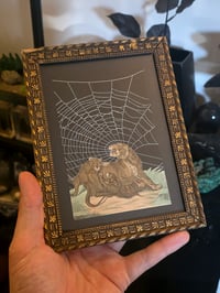 Image 3 of Pair of Lions 1800's engraving plates with preserved spider web - French Antique Frame