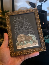 Image 2 of Pair of Lions 1800's engraving plates with preserved spider web - French Antique Frame