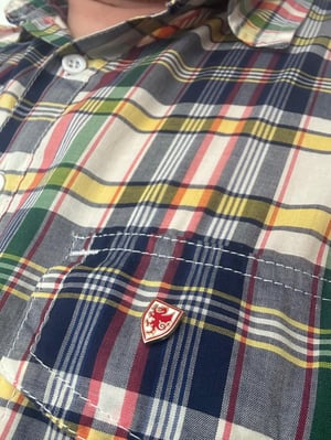 Image of Y Ddraig Pin Badge (limited edition) 