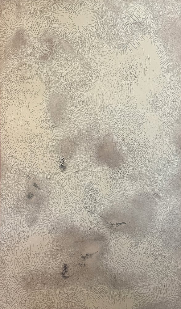 Image of Dennis Ekstrom | DESERT FLOOR I