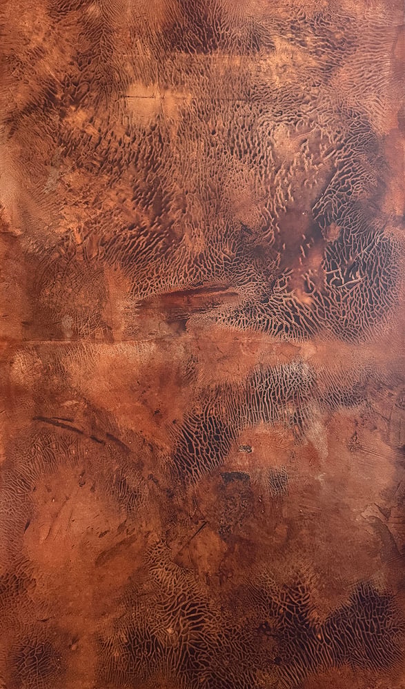 Image of Dennis Ekstrom | DESERT FLOOR II