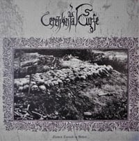 Ceremonial Curse - Flames Turned To Ashes LP