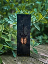 Hercules Beetle Bookmark
