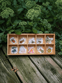 Image 1 of Clear Bug Stickers