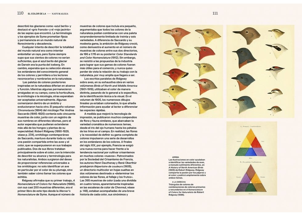 Image of LA HISTORIA DEL COLOR Cómo vemos, usamos y entendemos el color
