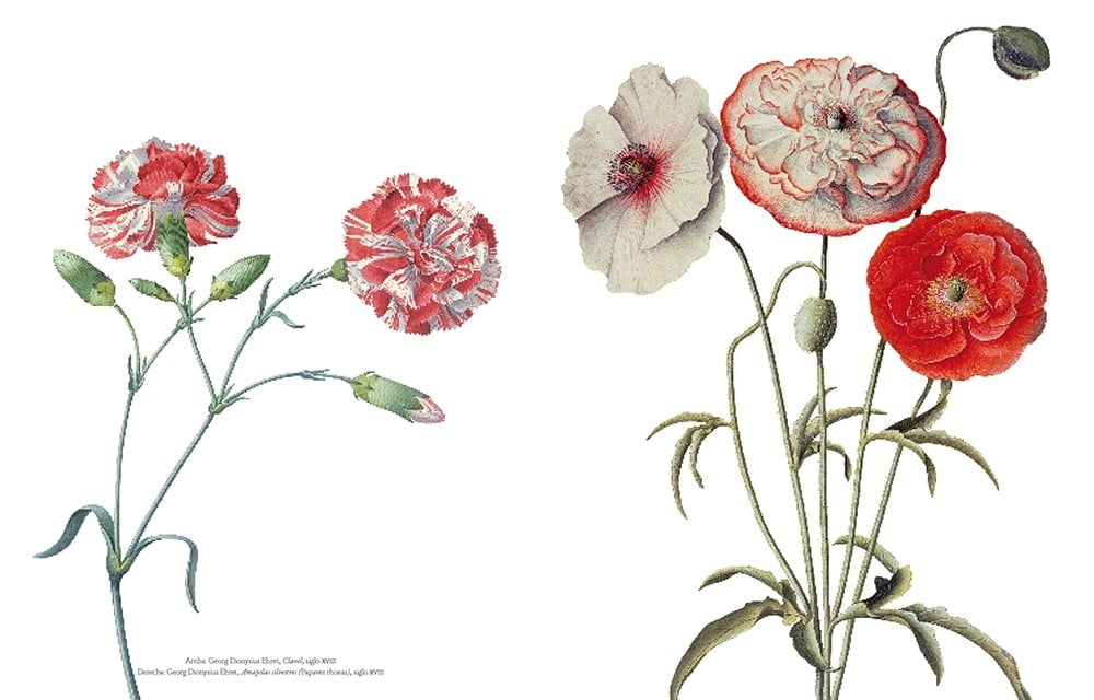 Image of Flores en el arte