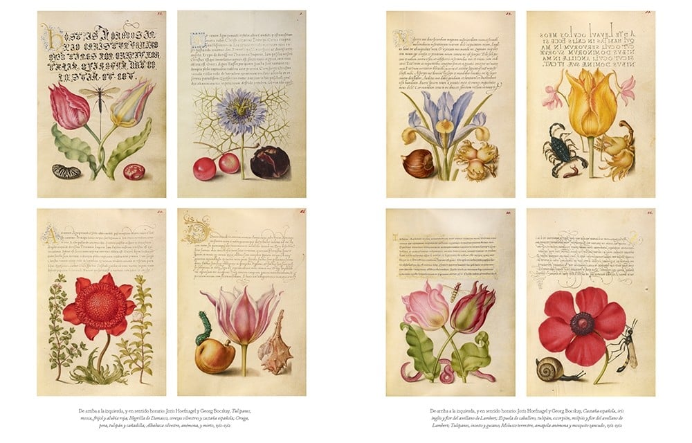 Image of Flores en el arte