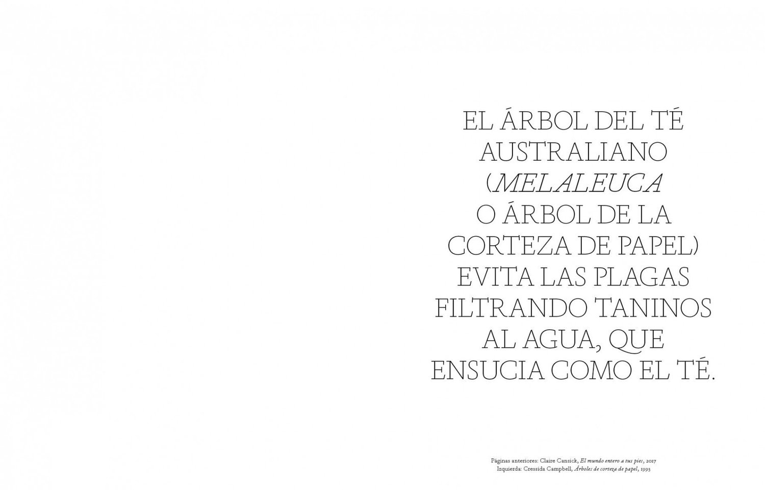 Image of Árboles en el arte