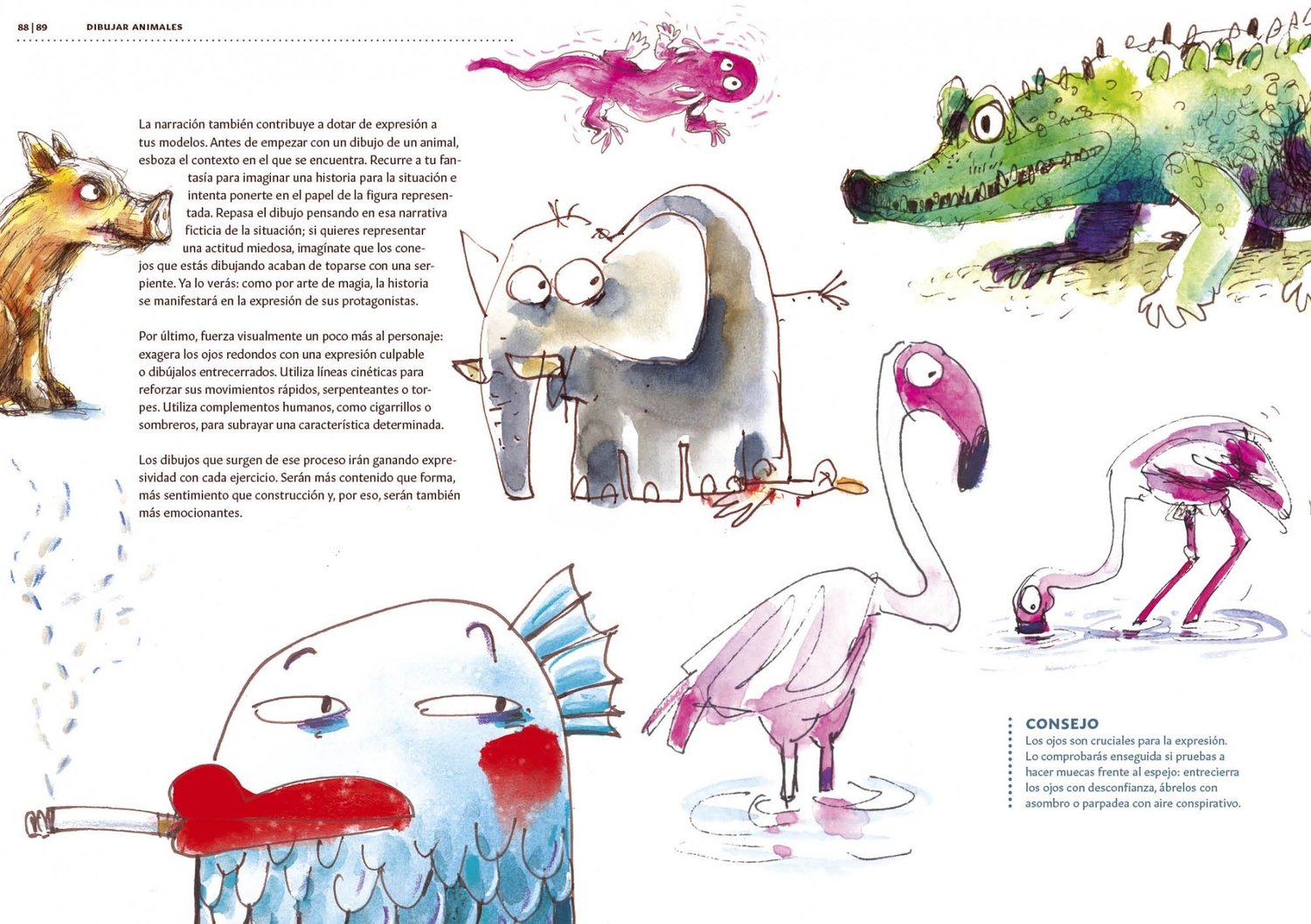 Image of Dibujar animales y comprenderlos