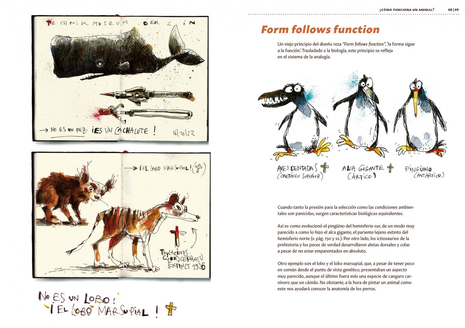 Image of Dibujar animales y comprenderlos