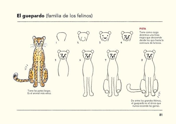 Image of Cómo son los animales y cómo dibujarlos