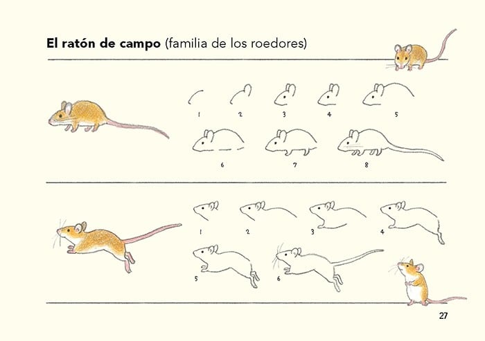 Image of Cómo son los animales y cómo dibujarlos