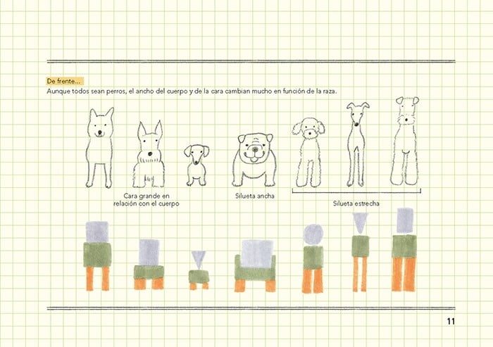 Image of Cómo son los animales y cómo dibujarlos