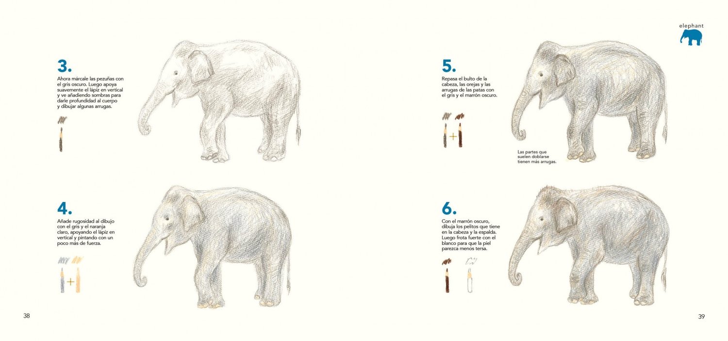 Image of Cómo son los animales y cómo dibujarlos Con lápices de colores