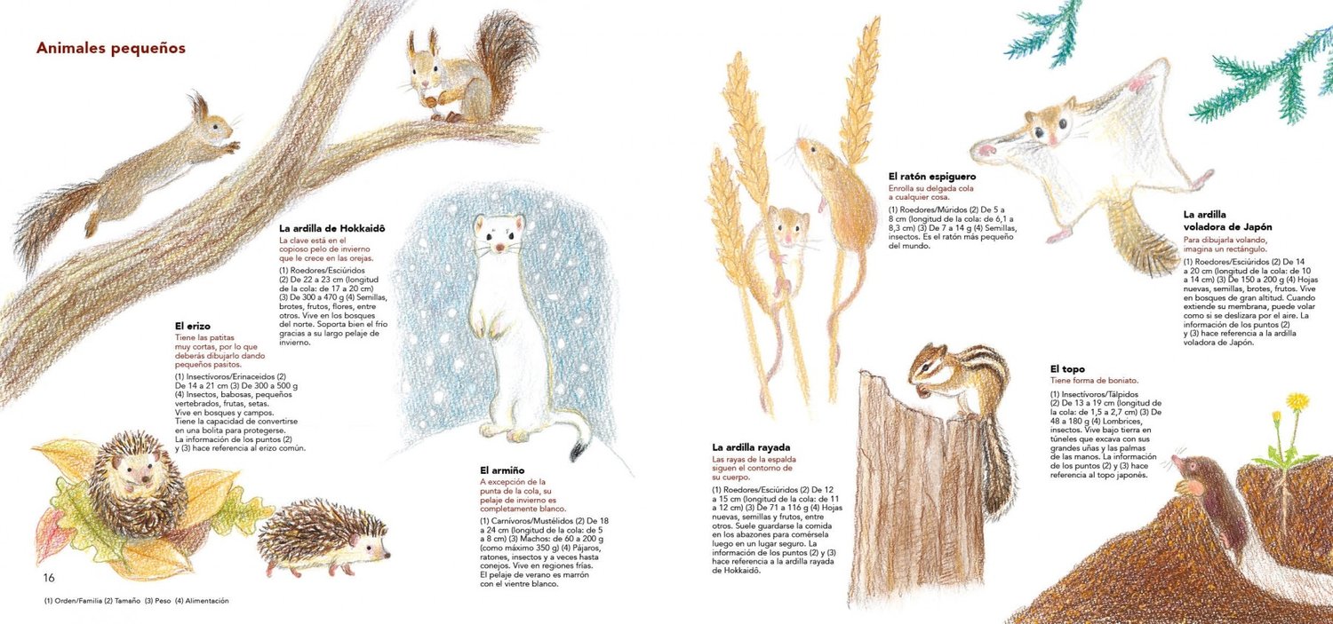 Image of Cómo son los animales y cómo dibujarlos Con lápices de colores