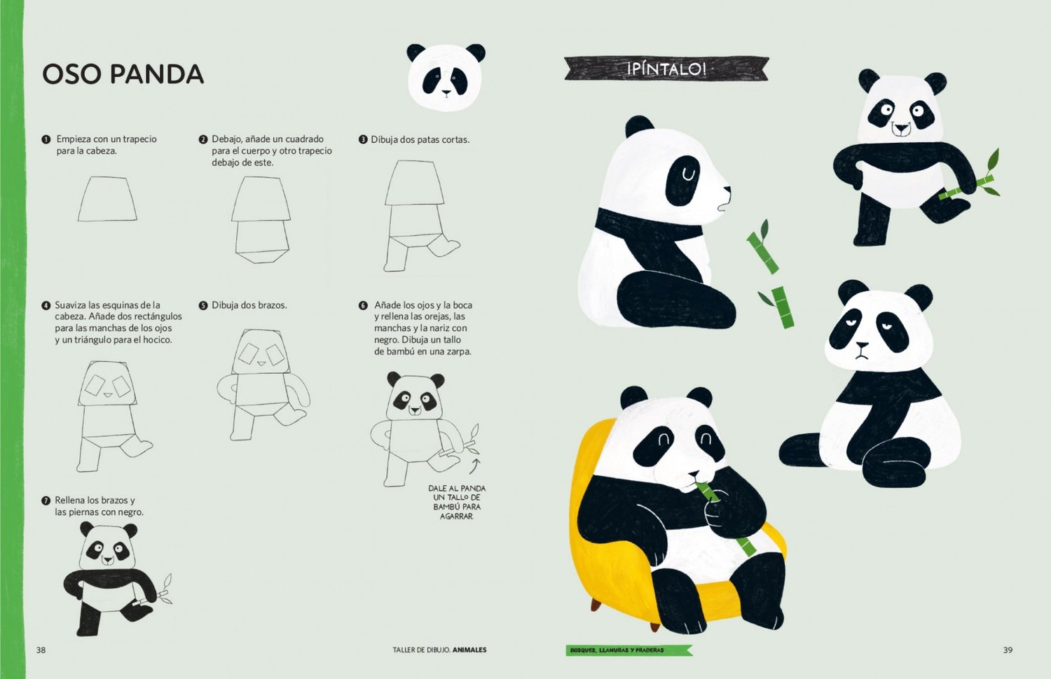 Image of Taller de dibujo. Animales Aprende a dibujar con formas simples 60 divertidos animales