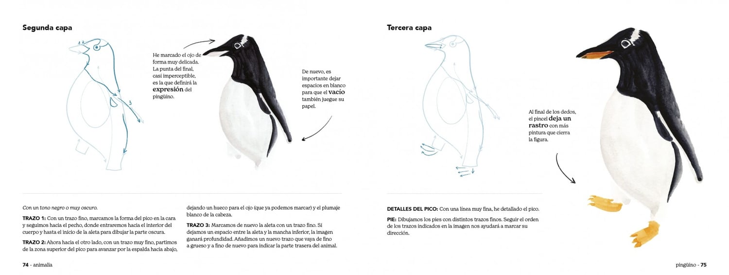 Image of Animalia trazo a trazo un manual para crear animales con acuarela
