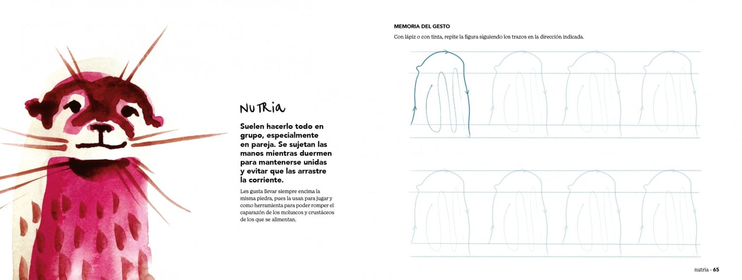 Image of Animalia trazo a trazo un manual para crear animales con acuarela