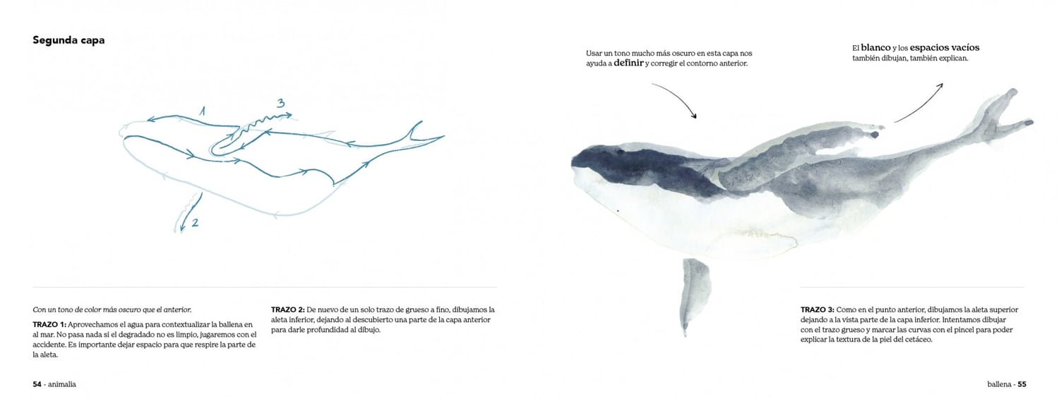Image of Animalia trazo a trazo un manual para crear animales con acuarela