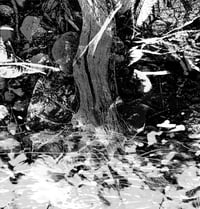 Graneg Sandpapier - conqrete surroundings digital
