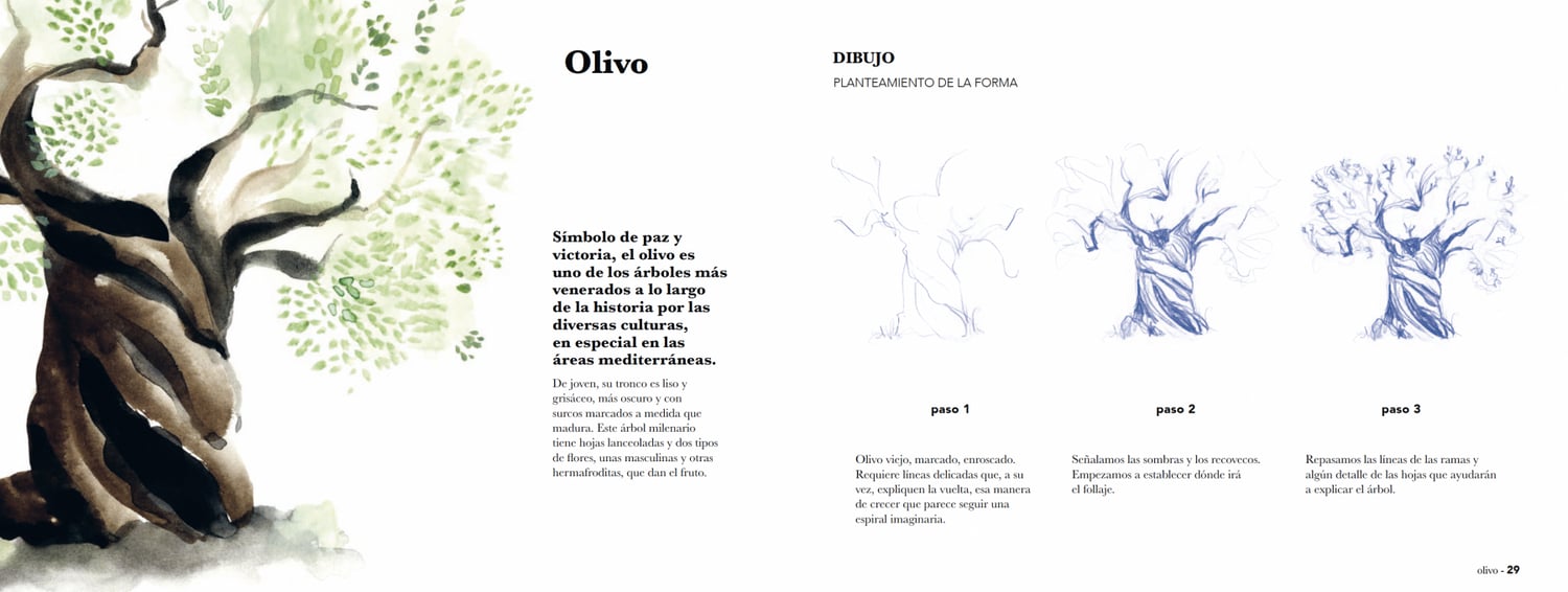 Image of arborum un manual para crear árboles con acuarela