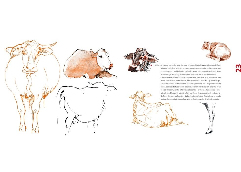 Image of DIBUJO CREATIVO 100 trucos para desarrollar tu talento
