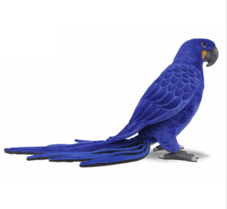 Birds of All Kinds! - Image 4 of 10