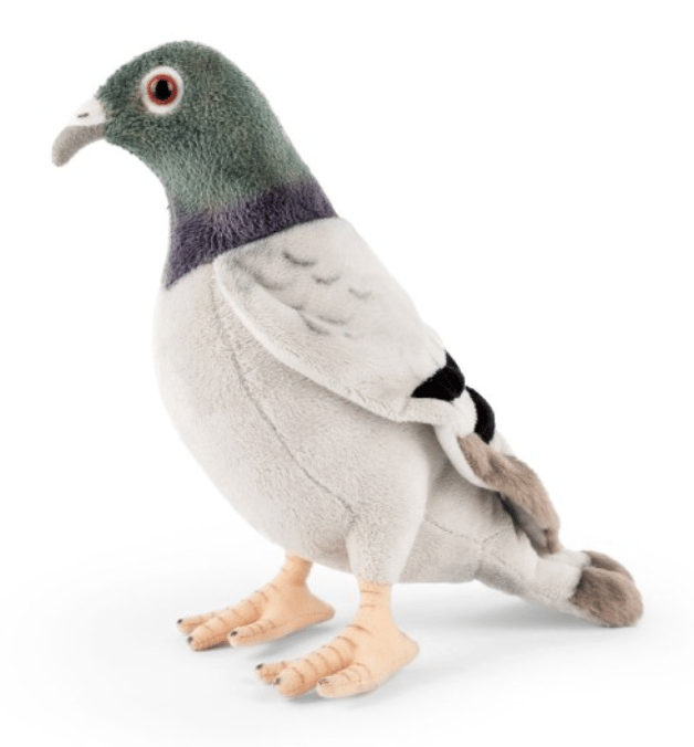Birds of All Kinds! - Image 2 of 10