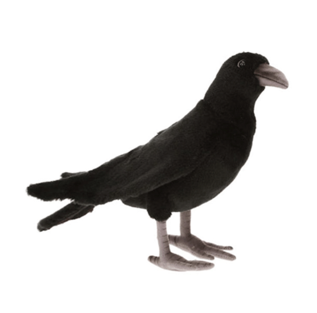 Birds of All Kinds! - Image 8 of 10