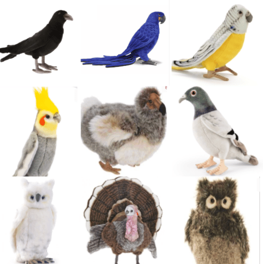 Birds of All Kinds! - Image 1 of 10