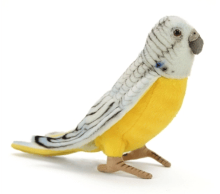 Birds of All Kinds! - Image 3 of 10