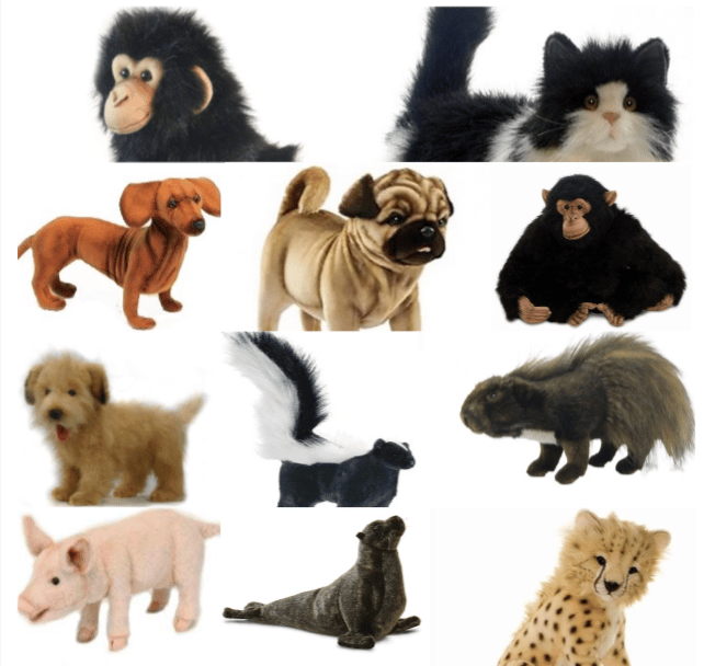 Animal Friends! - Image 1 of 12