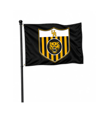 Upper Arlington Boys Soccer spirit flag