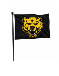 Upper Arlington Golden Bear spirit flag