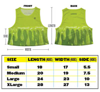 Image 2 of Practice Pinnies