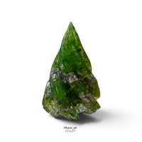 Image 2 of Christmas Tree's for Any Style
