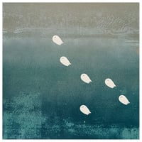 Migration 6