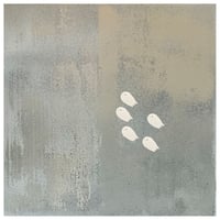 Migration 5