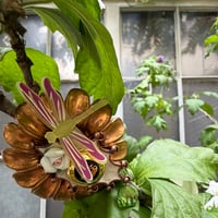 Image 1 of Broche "DOLLY"
