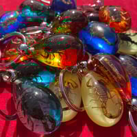 Image 5 of Scorpion Teardrop Keychain 
