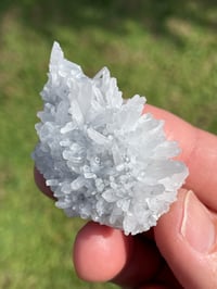 Image 1 of Snowflake Quartz Crystal Cluster #1943