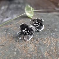 Image 1 of Wallflower Studs