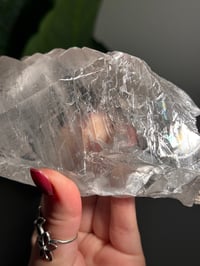 Image 14 of RAINBOW FILLED LA PLATOSA SELENITE -MEXICO- B