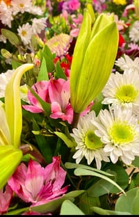 Image 2 of 🌿 Eden Bloom (LOCAL ONLY!)!