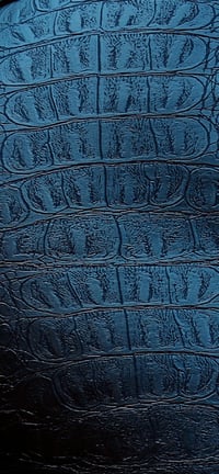 Image 4 of YARA shorts, black snake